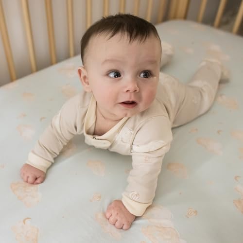 Burt’s Bees Baby Boys' One-Piece Sleep and Play 100% Organic Cotton PJs