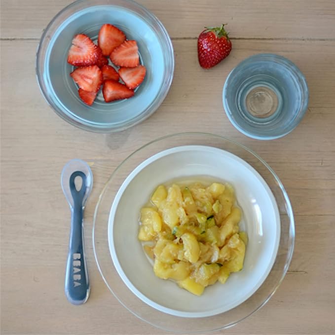 BEABA 3-Piece Glass Meal Set with Silicone Suction, Toddler Plate and Baby Bowls with Suction, Non Slip Kids Dinnerware Set, 2.5x Stronger than Regular Glass, (Rain)