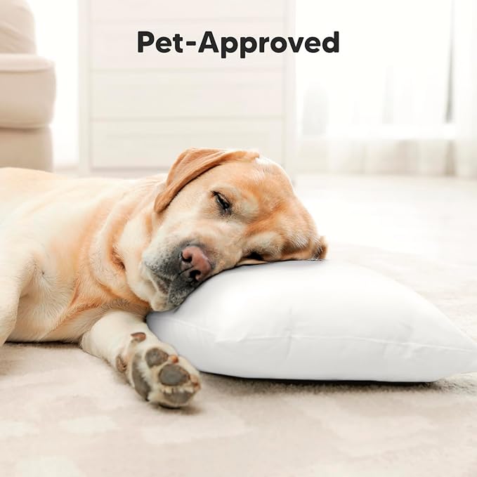 KeaBabies Toddler Pillow with Pillowcase, Jumbo 14X20 - Soft Organic Cotton Toddler Pillows for Sleeping - Machine Washable - Perfect for Travel, Toddler Bed Set (Soft White)