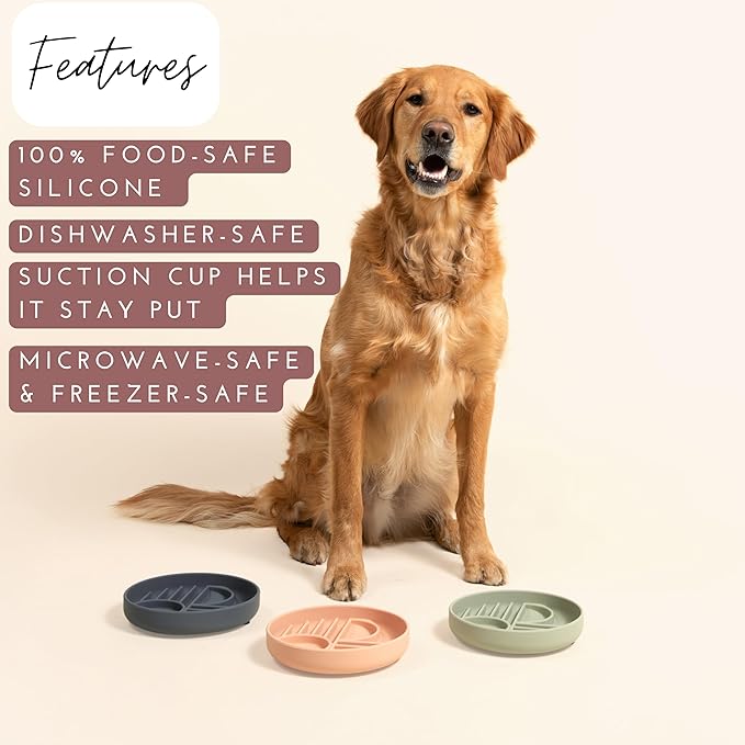 Should We Go? Slow Feeder for Dogs & Puppies, The Slowdown Bowl Silicone Slow Eating, Modern Lick Mat Design, Reduces Gulping, Fits 2 Cups, 7.5” Across x 1.5” Tall, Mealtime Challenge, Medium-Charcoal