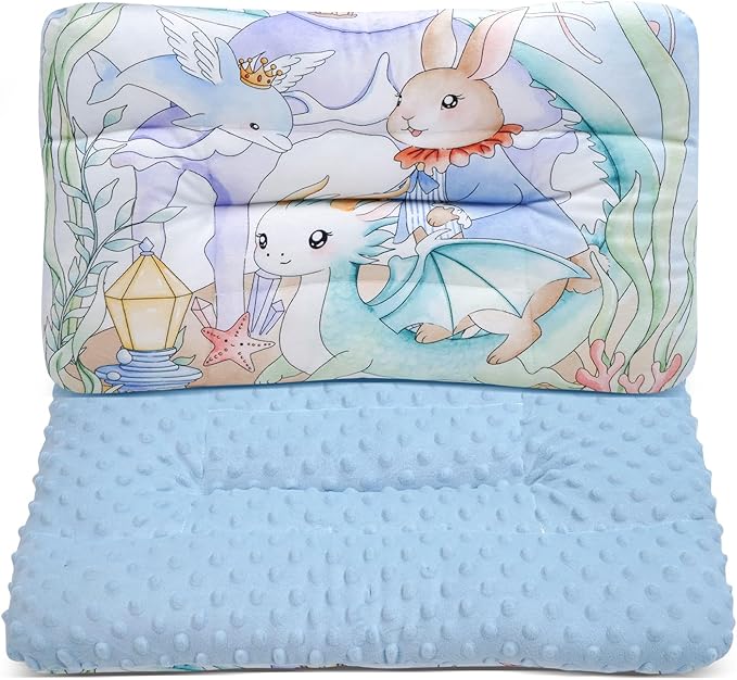 Reidio 1Pcs Toddler Pillow Double Sided Warm Plush & Minky Dot Fabric Kids Pillow Cute Small Pillow Machine Washable (#W-Ocean Blue)