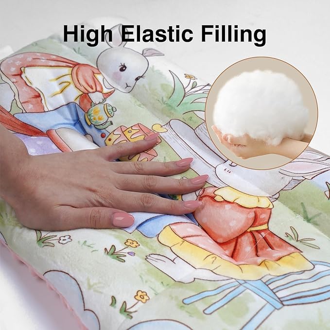 Reidio 1Pcs Toddler Pillow Double Sided Warm Plush & Minky Dot Fabric Kids Pillow Cute Small Pillow Machine Washable (#W-Ocean Blue)