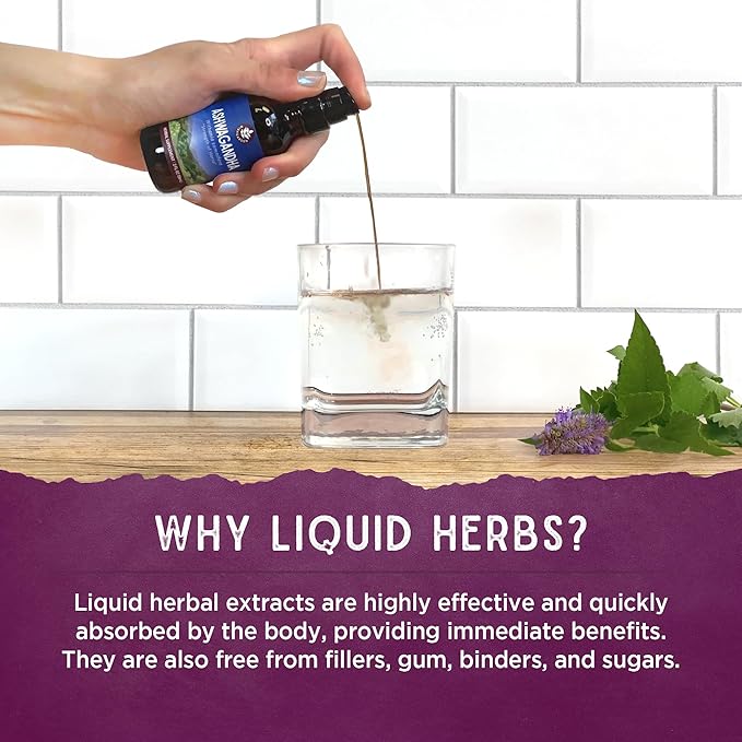 WishGarden Herbs Kick-Ass Allergy - Plant-Based Non-Drowsy Herbal Allergy Supplement with Nettle Leaf, Echinacea, & Yerba Santa, Supports Healthy Histamine Response to Seasonal Irritants, .66oz