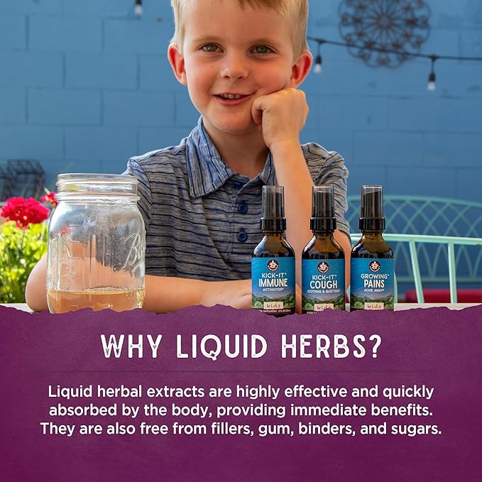 WishGarden Herbs Kick-It Allergy for Kids - Plant-Based Non-Drowsy Herbal Allergy Supplement with Nettle Leaf, Echinacea & Yerba Santa, Supports Healthy Histamine Response to Seasonal Irritants, 2oz