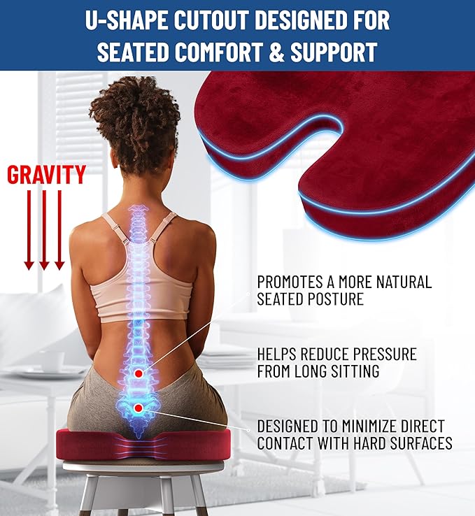 Everlasting Comfort Doctor Recommended Memory Foam Seat Cushion for Office Chairs & Car Seat - Ergonomic Office Desk Accessories for Tailbone Pain Relief, Sciatica & Back Support