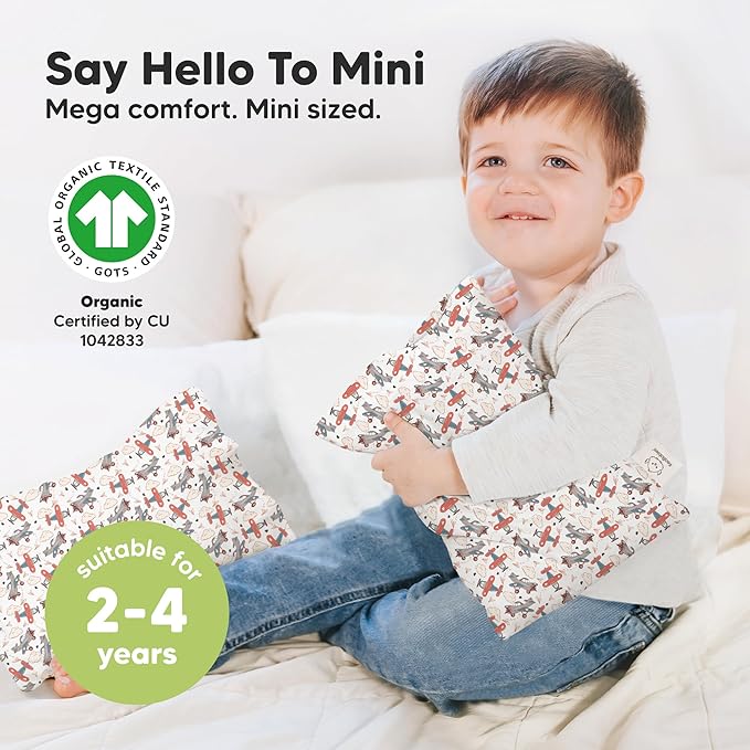 Mini Toddler Pillow with Pillowcase - 9x13 My Little Dreamy Travel Kids Pillow for Sleeping, Toddler Bed, Small, Tiny, Organic Cotton Pillowcase, Soft & Breathable, Kids 2-4 Years Old (Aircraft)